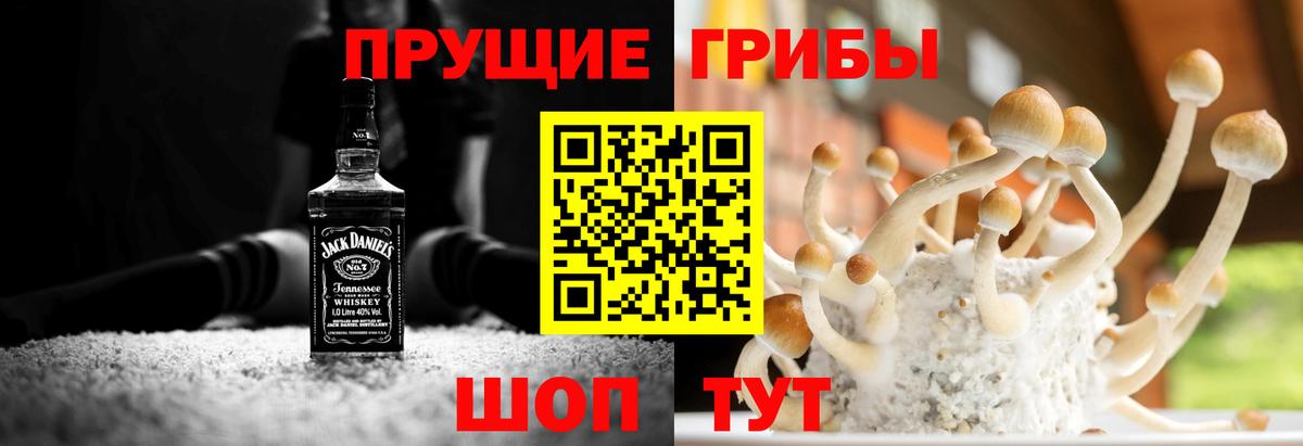Заринск  Псилоцибиновые грибы Cubensis  Вход с VPN  Галлюциногенные грибы мухоморы 